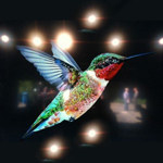 Efectos del Google Hummingbird sobre tu página de Internet