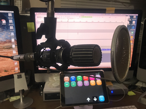Micrófono Shure Unidyne IV Modelo 548SD - Consejos Para Hacer Un Buen Podcast
